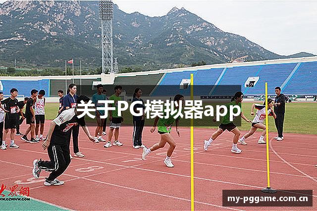 关于PG模拟器app